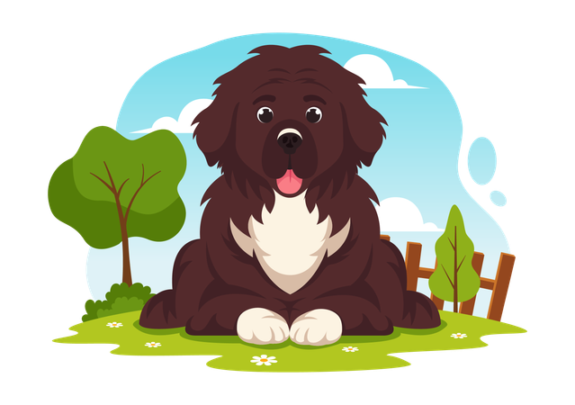 Cão da Terra Nova  Ilustração