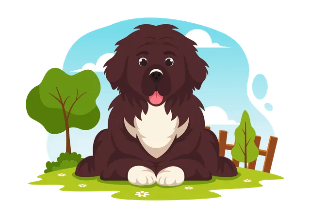 Cão da Terra Nova  Ilustração