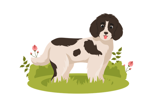 Cão da Terra Nova  Ilustração