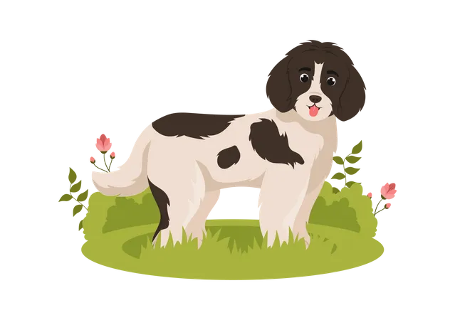 Cão da Terra Nova  Ilustração