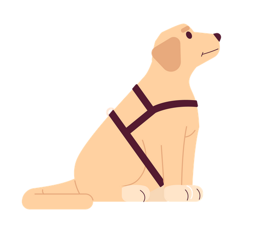 Cão-guia labrador  Ilustração