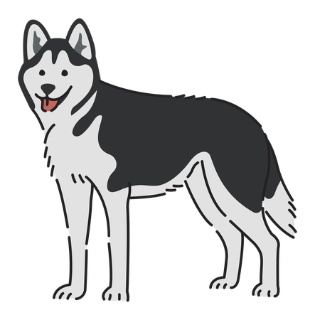 Cachorro husky siberiano  Ilustração