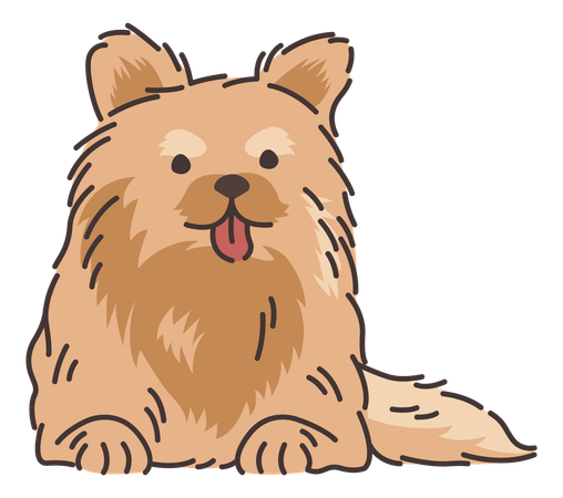 Cachorro da Pomerânia  Ilustração