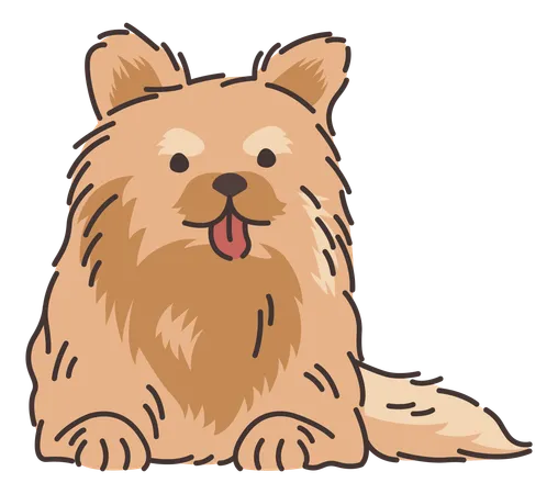 Cachorro da Pomerânia  Ilustração