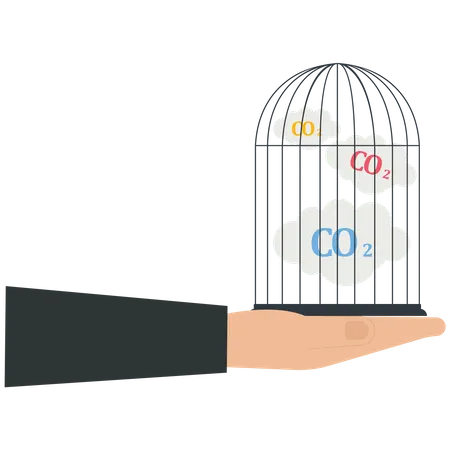 Captage du carbone par une cage  Illustration