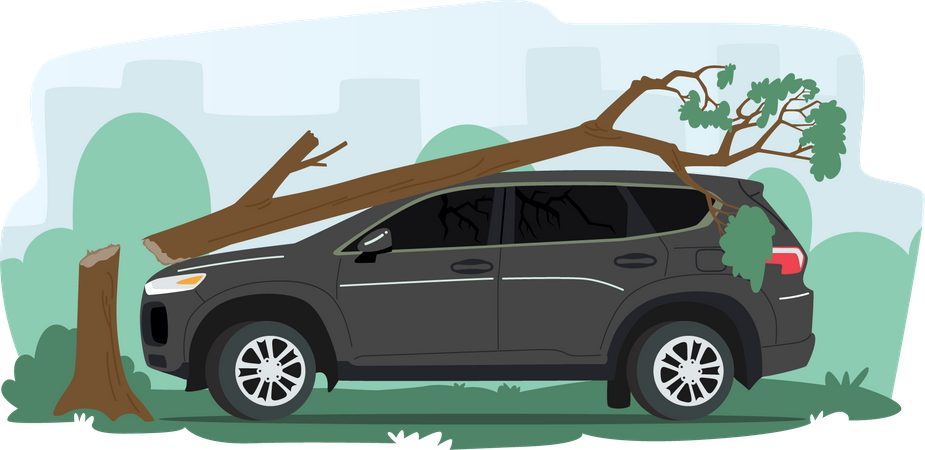 Car crash with tree  Illustration