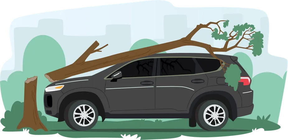 Car crash with tree  Illustration
