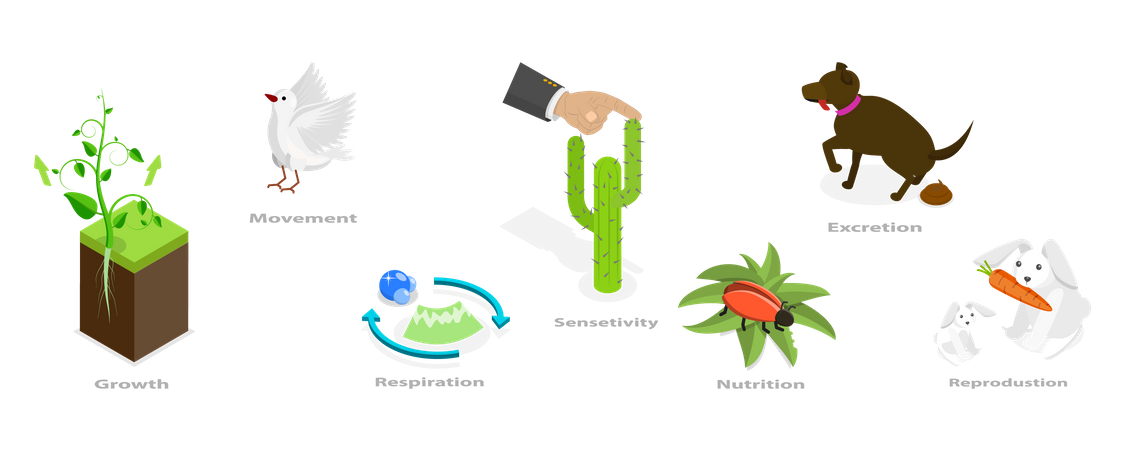 Caractéristiques des êtres vivants  Illustration
