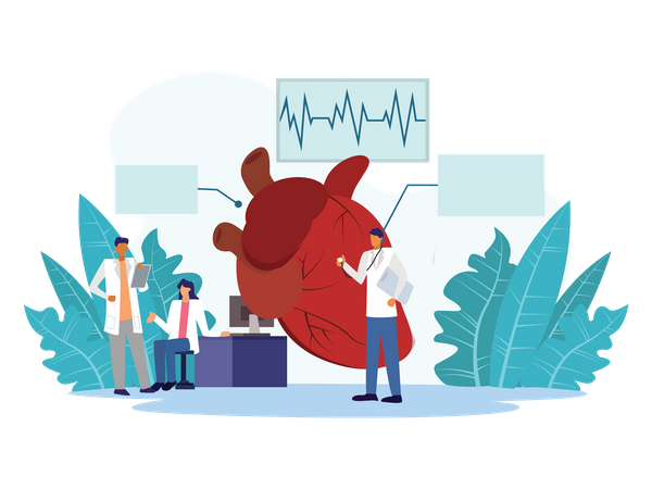 Cardiac examination by doctor  Illustration