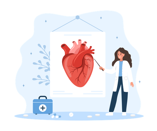 Cardiologist explaining about heart  Illustration