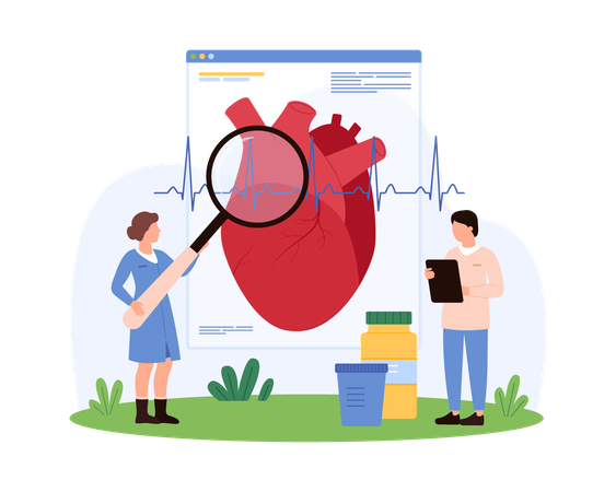 Cardiologists Studying Heart Health  Illustration