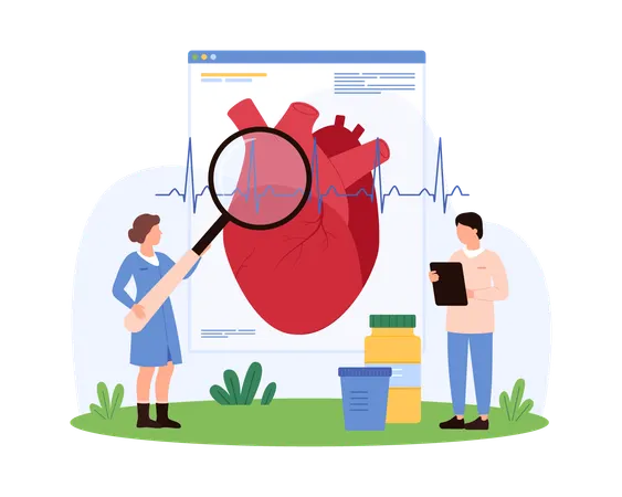 Cardiologists Studying Heart Health  Illustration