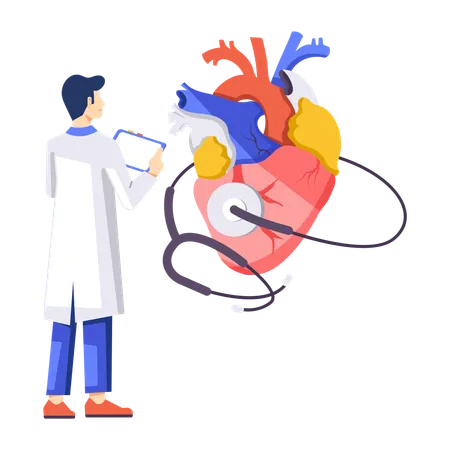 Cardiologue masculin vérifiant le cœur  Illustration