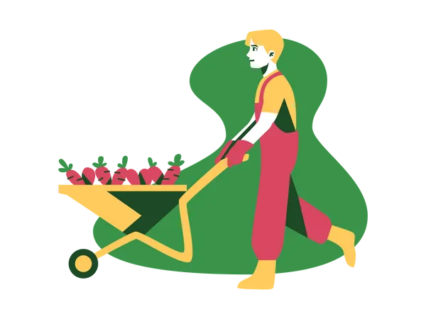 Agricultor com carrinho de cenoura  Ilustração
