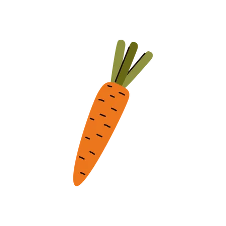 Carrot Vegetable Simple Icon Flat Vector Illustration Isolated On White Background Carrot Single Root Sign Or Symbol For Food Packaging And Prints Design Illustration