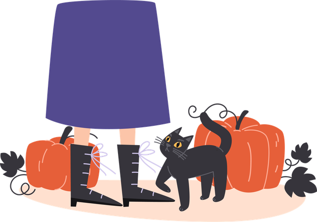 Chat noir et citrouilles  Illustration