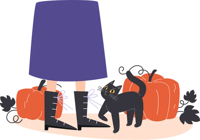 Chat noir et citrouilles  Illustration