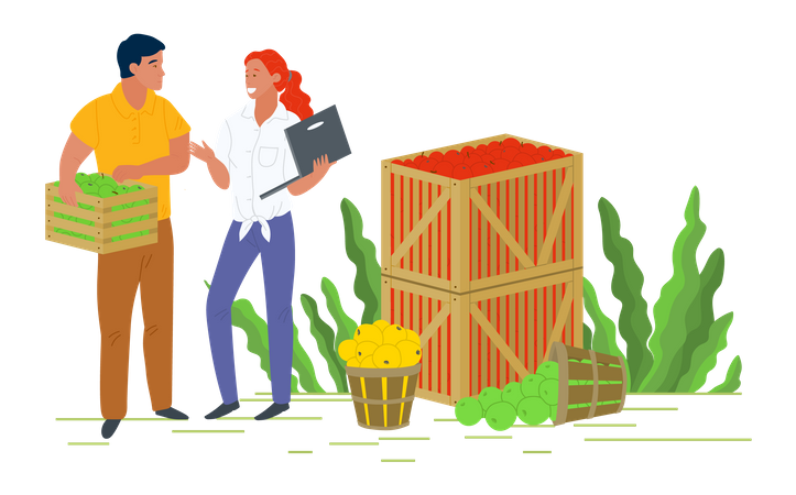 Casal jovem colhendo frutas  Ilustração