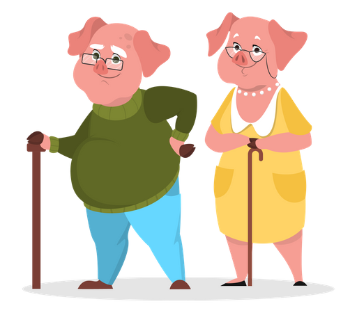 Casal de porcos envelhecidos  Ilustração