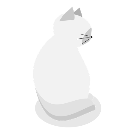 Cat  Illustration