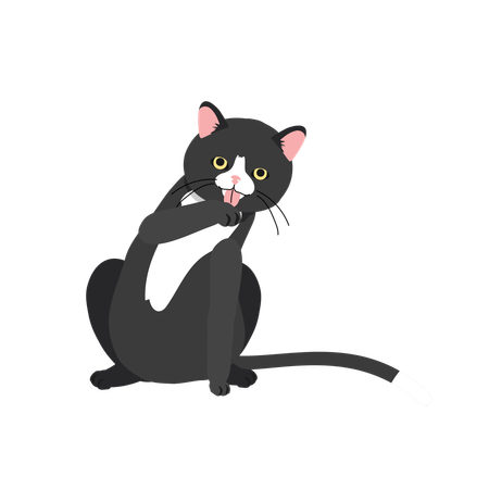 Cat Grooming and Paw Care  イラスト