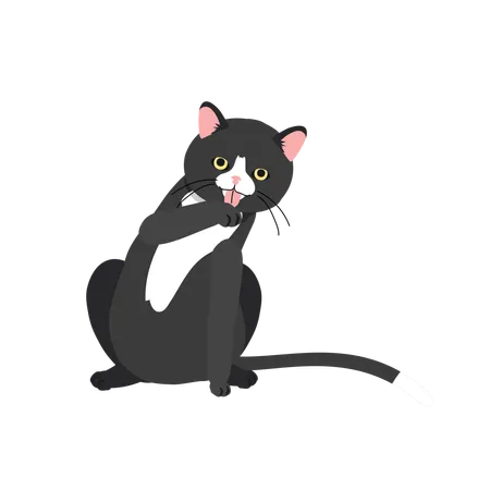 Cat Grooming And Paw Care Fluffy Cat Spa イラスト