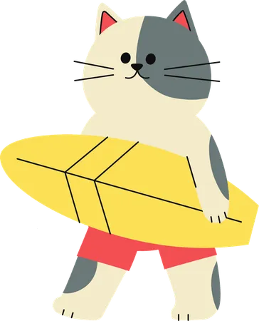 Cat holding surfing board  Illustration