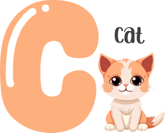 Cat  Illustration