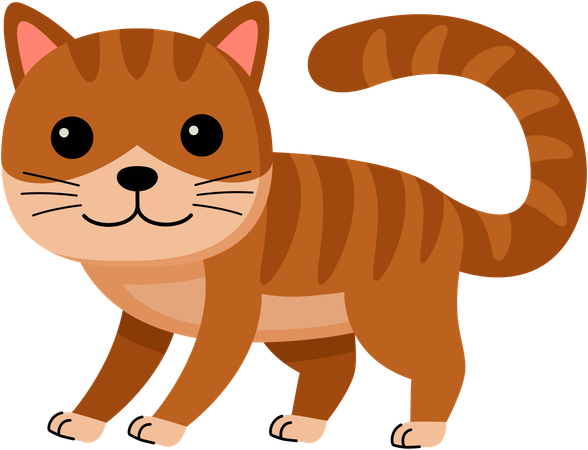 Cat  Illustration