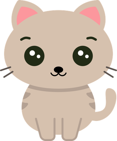 Cat  Illustration