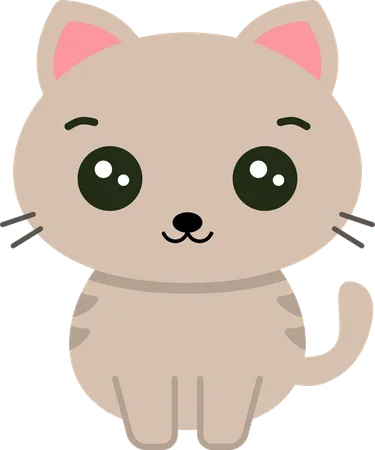 Cat  Illustration