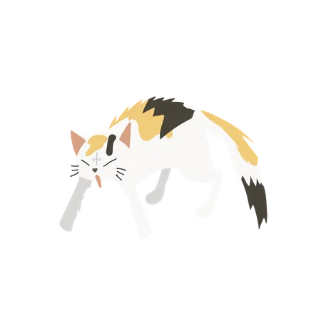 攻撃的なポーズの猫  イラスト