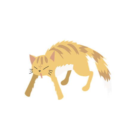 Cat in Aggressive Posture  Illustration