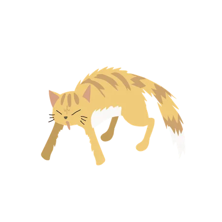 Cat in Aggressive Posture  Illustration