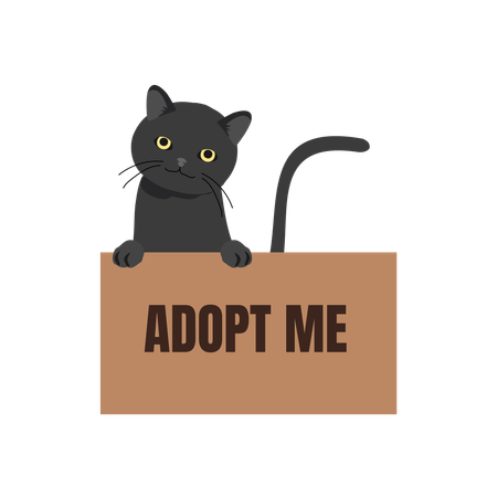 Cat in Box with 'Adopt Me' Sign  イラスト