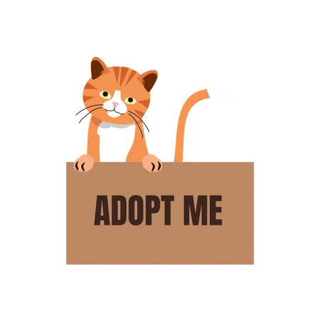 Cat in Box with 'Adopt Me' Sign  Illustration