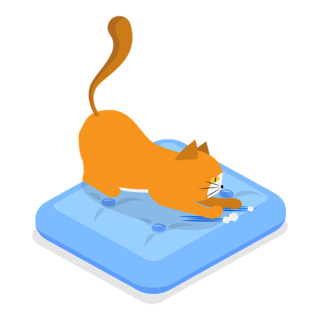 Cat playing in swimming pool  Illustration