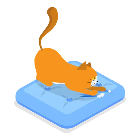 Cat playing in swimming pool  Illustration