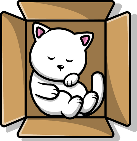 Cat Sleeping In Box  Illustration