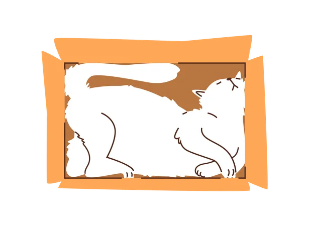 段ボール箱の中で安らかに眠る猫  イラスト