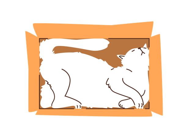 Cat sleeping peacefully in a cardboard box  Illustration