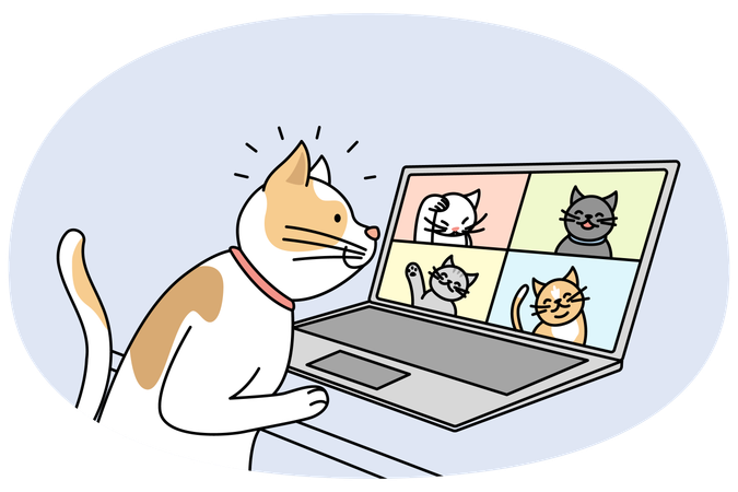 Cat talking on video call with pets on laptop  Illustration
