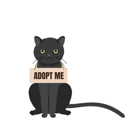 Pet Adoption And Fostering Concept Homeless Furry Friend With Adoptable Collar Balck Cat With Adopt Me Collar Illustration