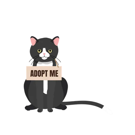 Pet Adoption And Fostering Concept Homeless Furry Friend With Adoptable Collar Balck Cat With Adopt Me Collar Illustration