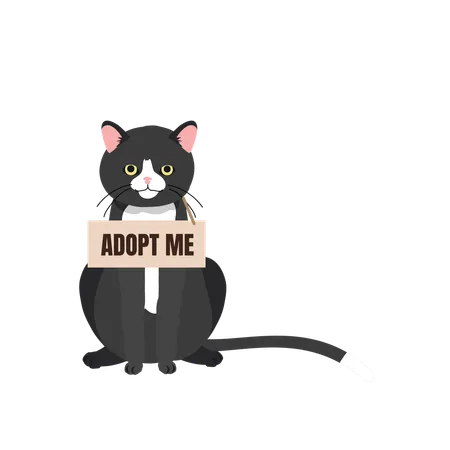 Cat with 'Adopt Me' Collar  Illustration