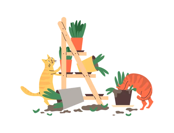 Cats left unattended making mess  Illustration