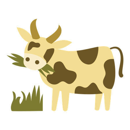 Cattle  Illustration