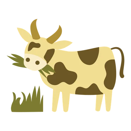 Cattle  Illustration