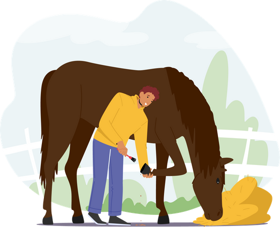 Stableman Masculino Cuidado de Cavalo Limpando Cascos com Escova  Ilustração