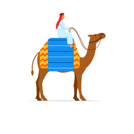 Cavaleiro de camelo  Ilustração